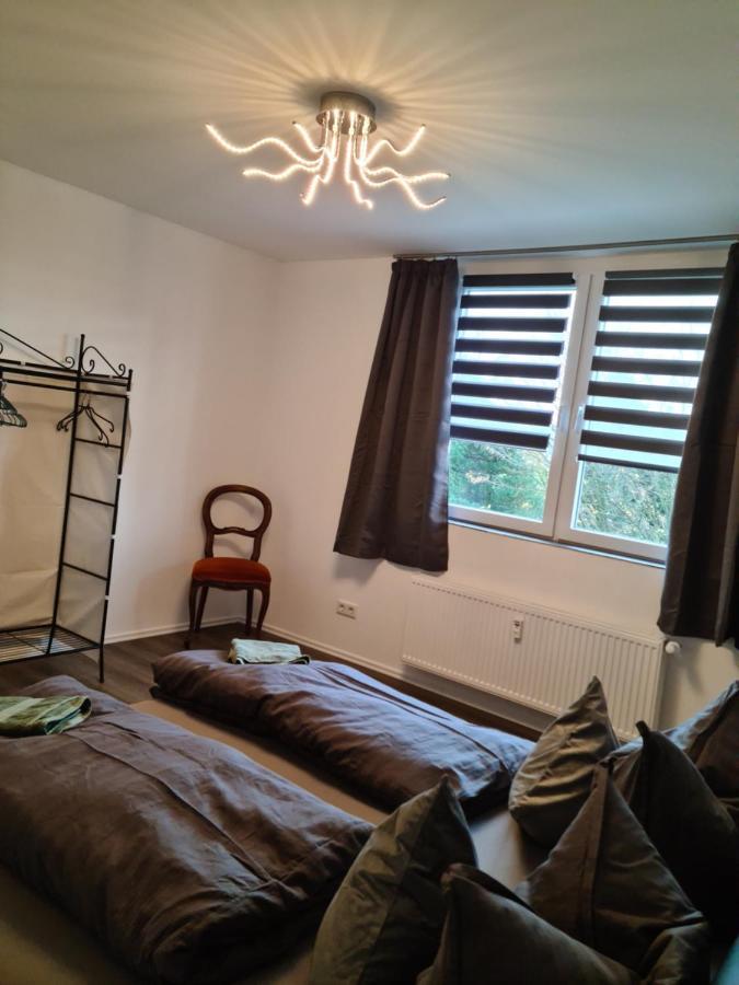 Pilgrims "Hermine" Fewo Mit 3 Schlafzimmern, Balkon, Fast Internet Brilon Buitenkant foto