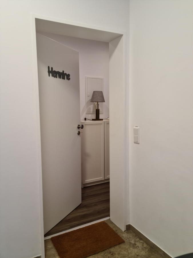 Pilgrims "Hermine" Fewo Mit 3 Schlafzimmern, Balkon, Fast Internet Brilon Buitenkant foto